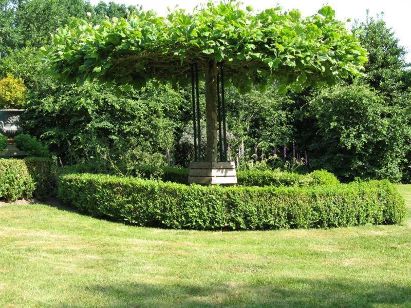 Erfgoedlogies Bed And Breakfast 'T Olde Hof Westervelde 外观 照片